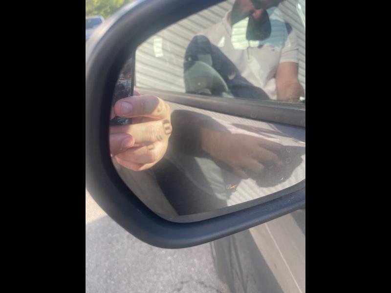 Image FORD Puma 1.0 Flexifuel 125ch S&S mHEV Titanium