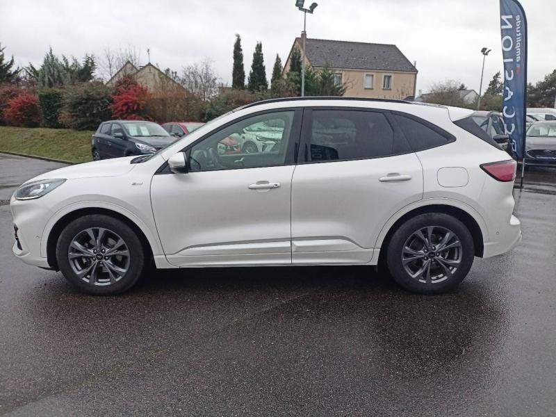 Image FORD Kuga 2.0 EcoBlue 150ch mHEV ST-Line X