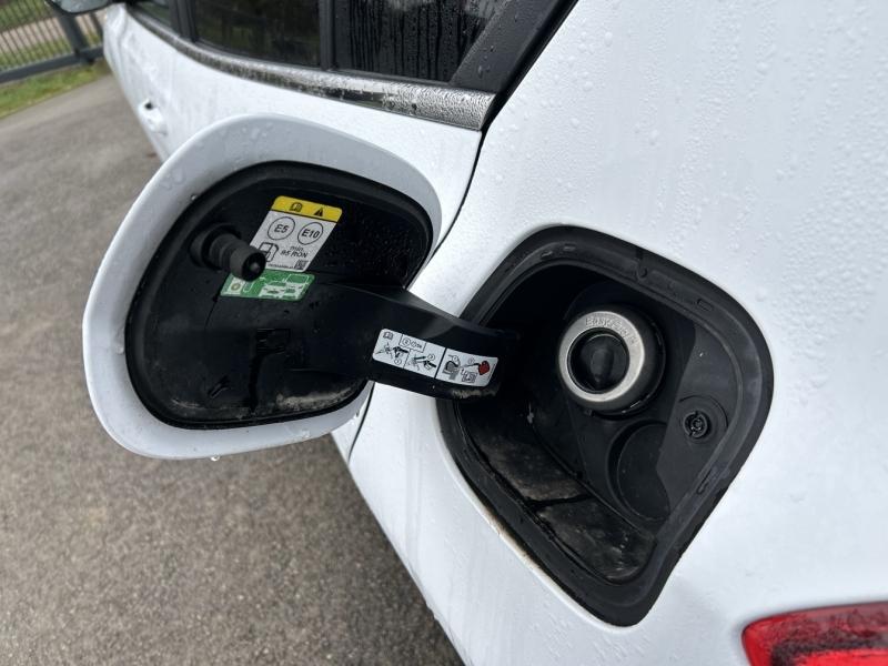 Image FORD Focus 1.0 EcoBoost 125ch Titanium X BVA