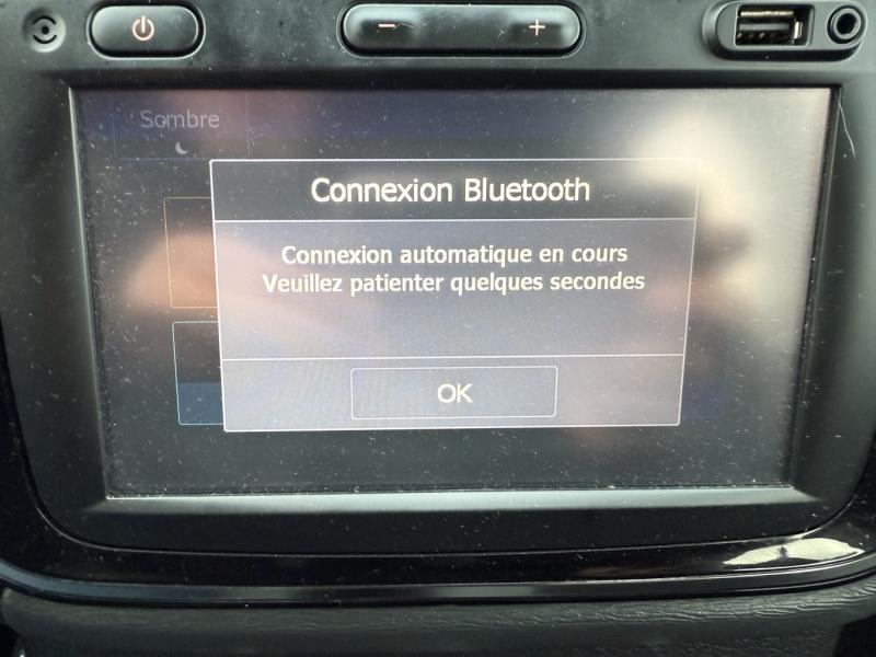 Image DACIA Lodgy 1.5 Blue dCi 115ch Stepway 7 places