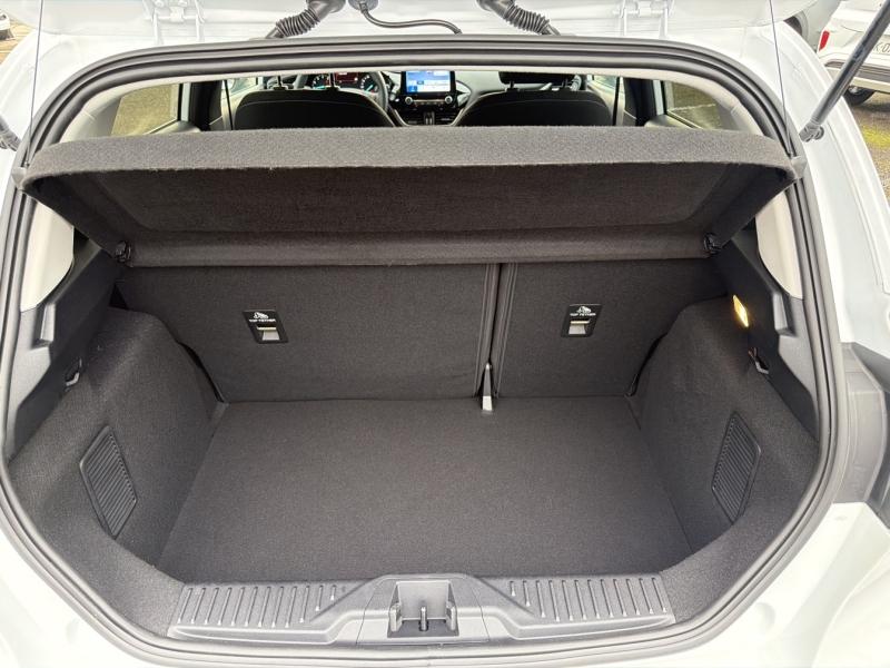 Image FORD Fiesta 1.0 Flexifuel 95ch Titanium Business 5p