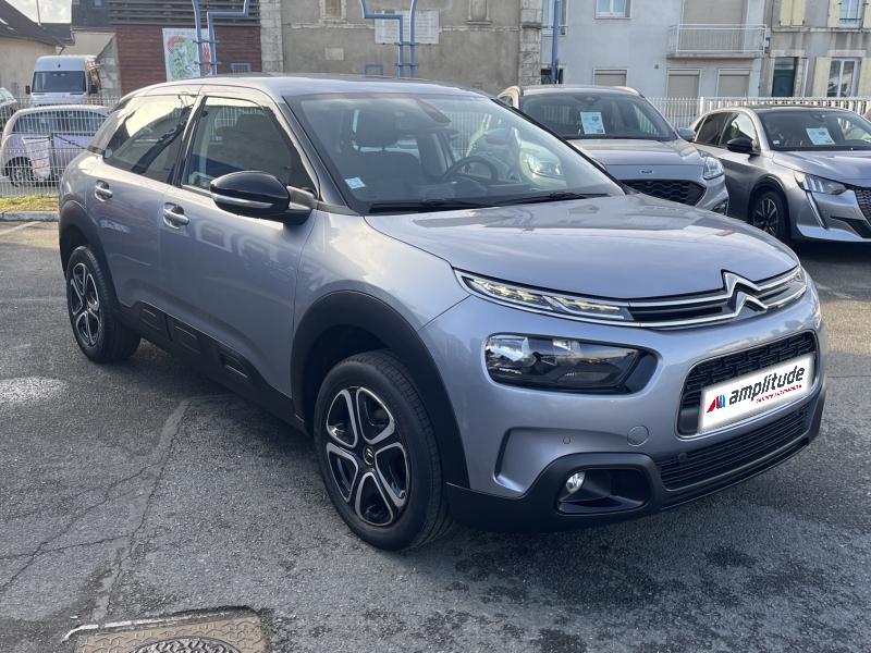 Image CITROEN C4 Cactus PureTech 110ch S&S Feel Business E6.d