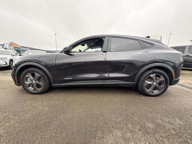 Image FORD Mustang Mach-E 294 ch Extended Range 99kWh 7cv