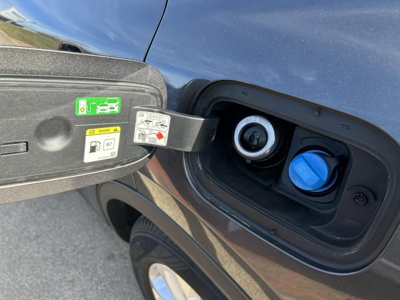 Image FORD Kuga 2.0 EcoBlue 150ch mHEV Titanium