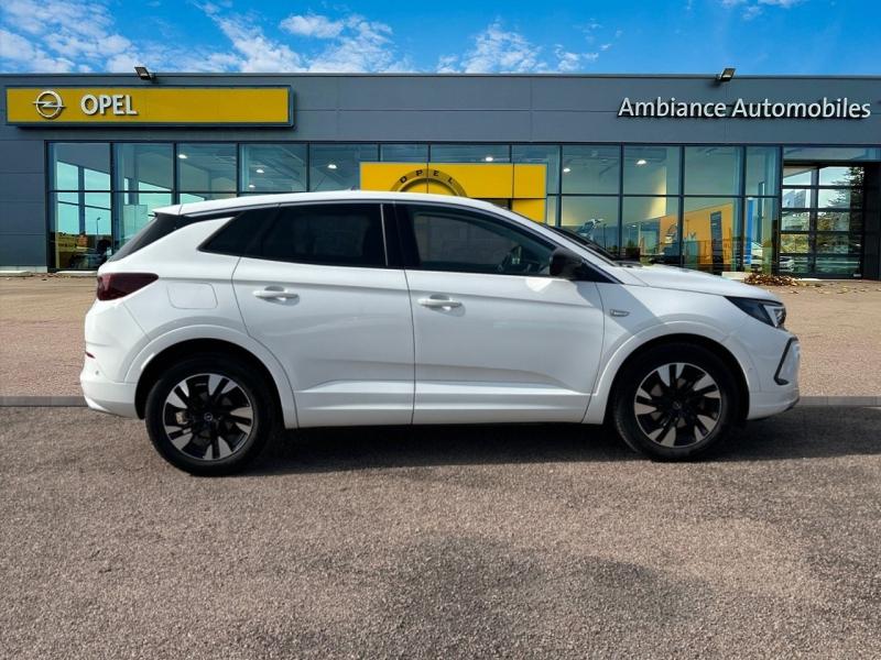 Image OPEL Grandland 1.5 D 130ch Elegance Business BVA8