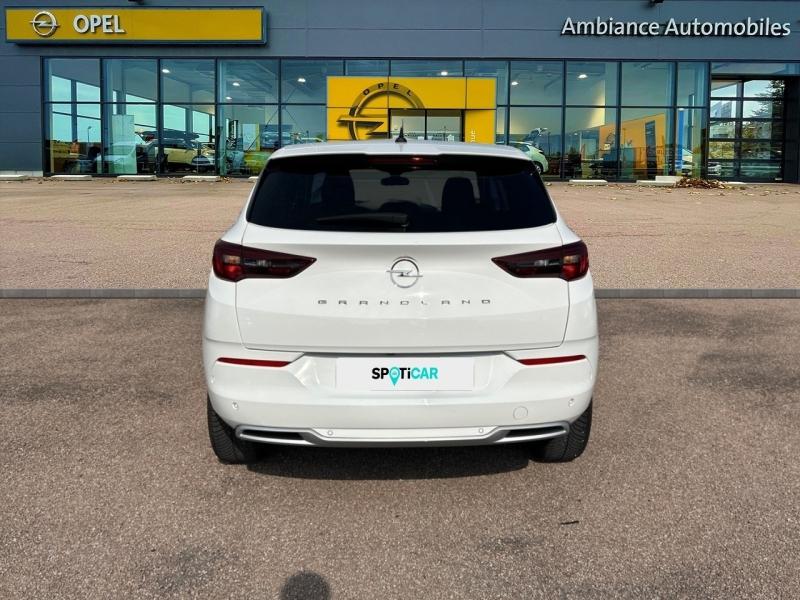 Image OPEL Grandland 1.5 D 130ch Elegance Business BVA8