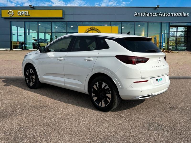 Image OPEL Grandland 1.5 D 130ch Elegance Business BVA8
