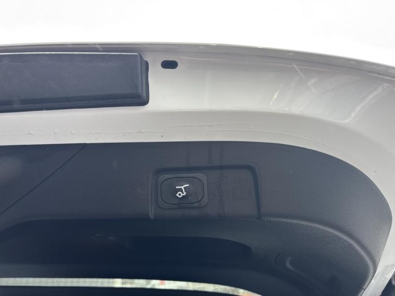 Image FORD Puma 1.0 EcoBoost Hybrid 125ch ST-Line S&S