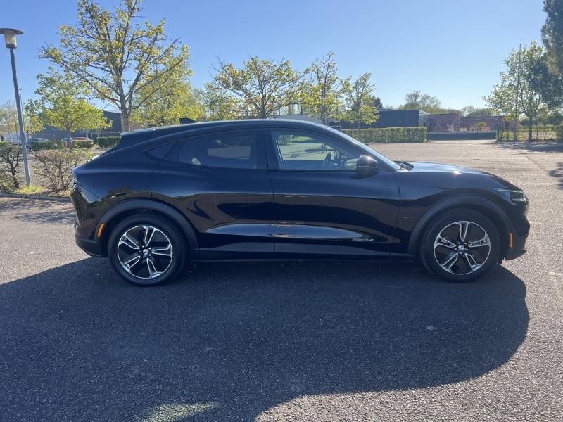 Image FORD Mustang Mach-E 269ch Standard Range 72,6kWh Mach-E Propulsion