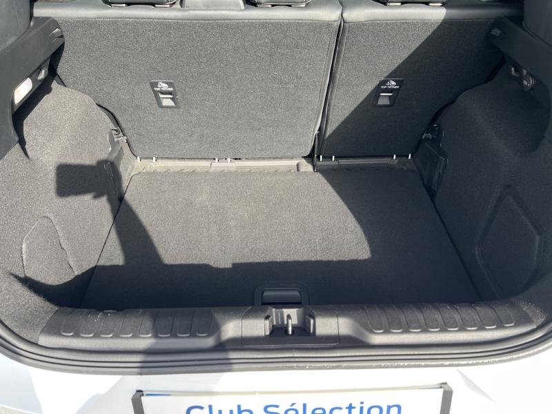 Image FORD Puma 1.0 Flexifuel  125ch S&S mHEV Titanium X