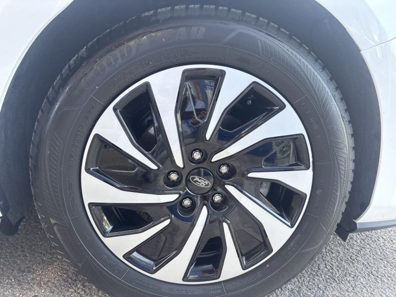 Image FORD Focus 1.5 EcoBlue 115ch Titanium X Business BVA8