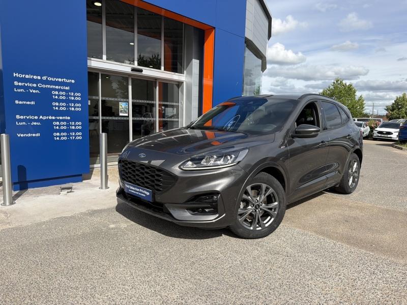 Photo FORD Kuga 2.0 EcoBlue 150ch mHEV ST-Line Business
