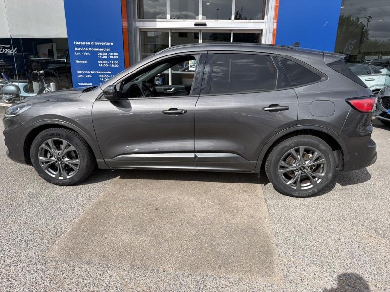 Image FORD Kuga 2.0 EcoBlue 150ch mHEV ST-Line Business