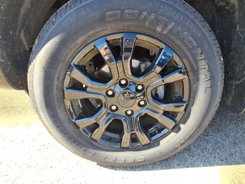Image FORD Ranger 2.0 TDCi 213ch Super Cab Wildtrak BVA10