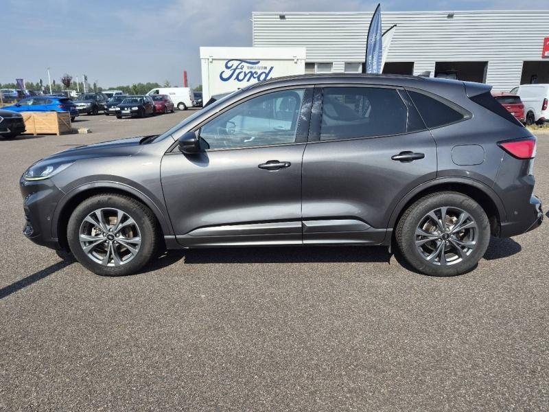 Image FORD Kuga 2.5 Duratec 190ch FHEV E85 ST-Line Business BVA