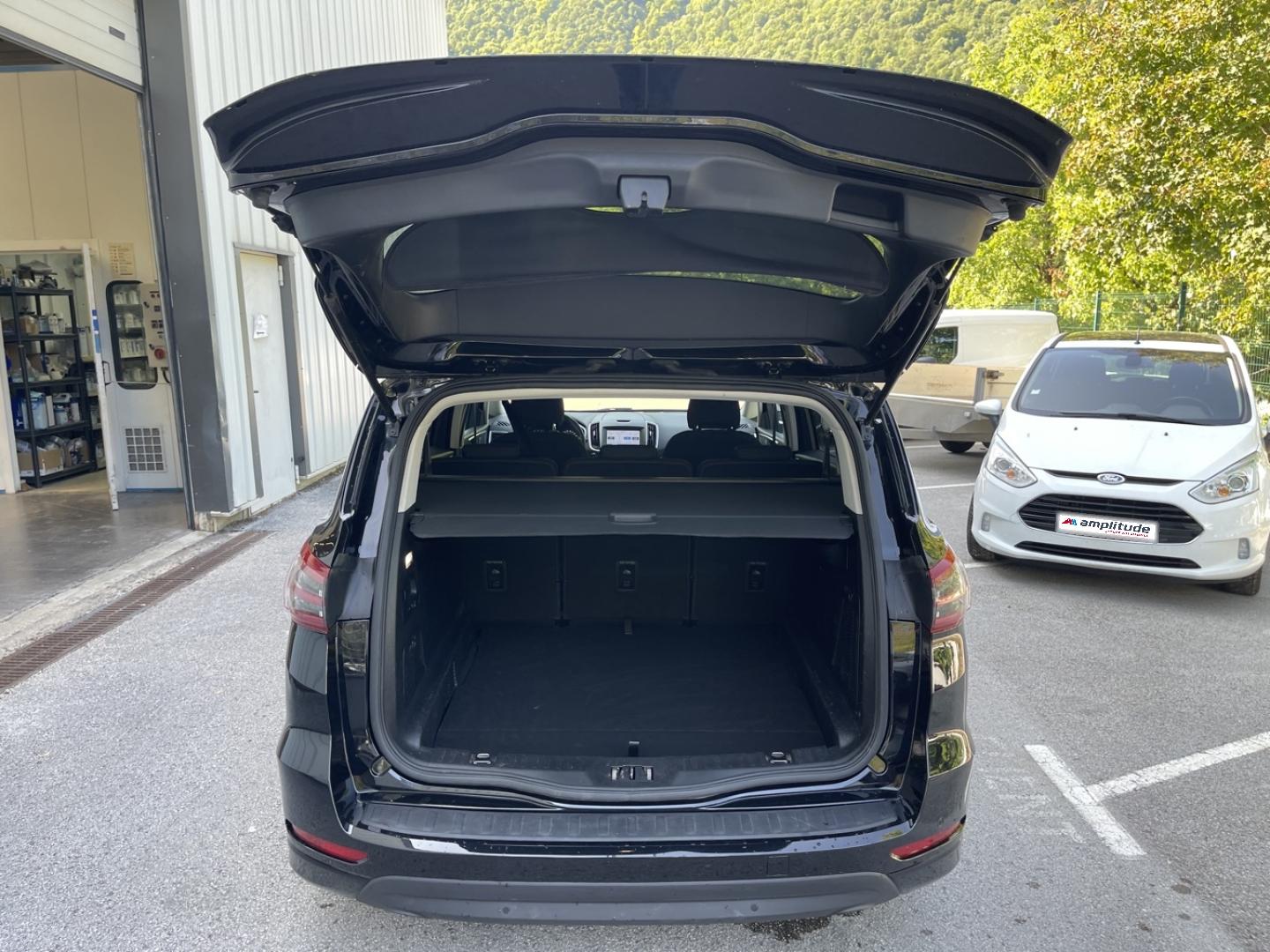 Image FORD S-MAX 2.0 EcoBlue 150ch Titanium Business BVA8