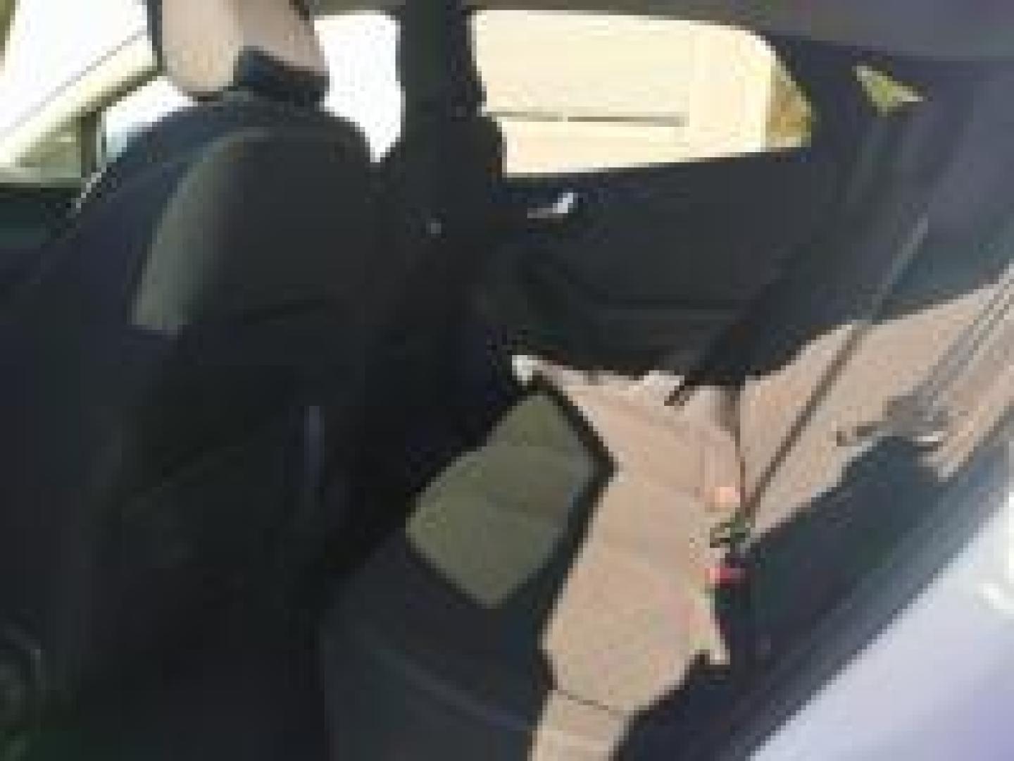 Image FORD Puma 1.0 EcoBoost Hybrid 125ch Titanium Business S&S
