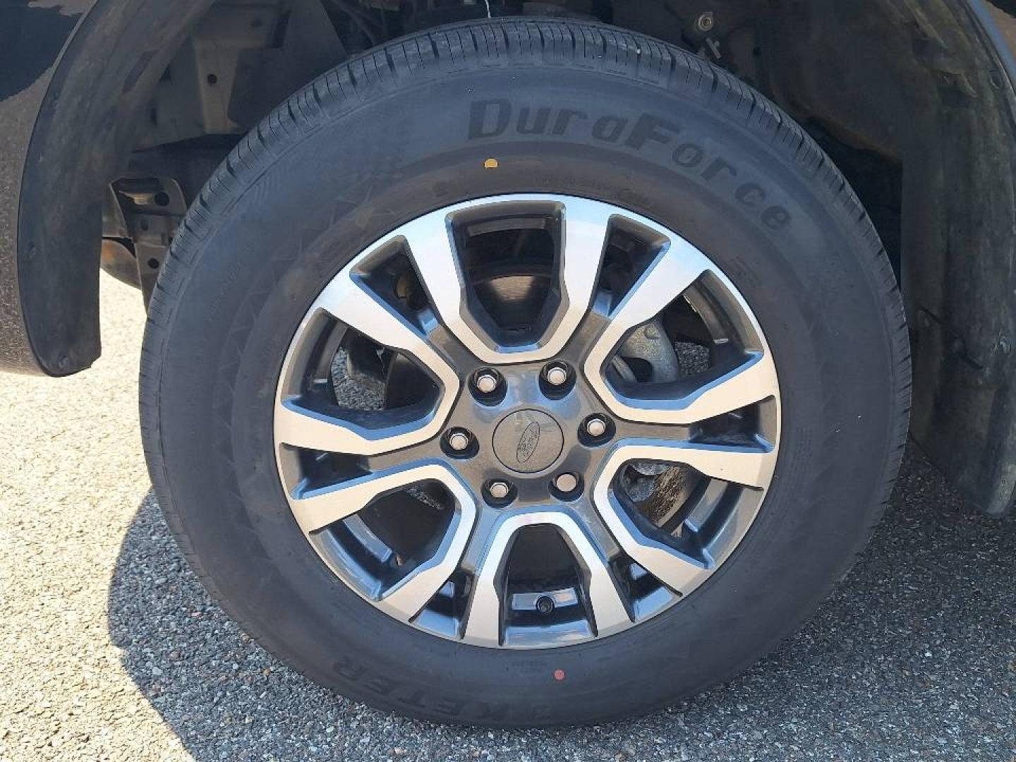 Image FORD Ranger 2.0 TDCi 213ch Double Cabine Wildtrak BVA10